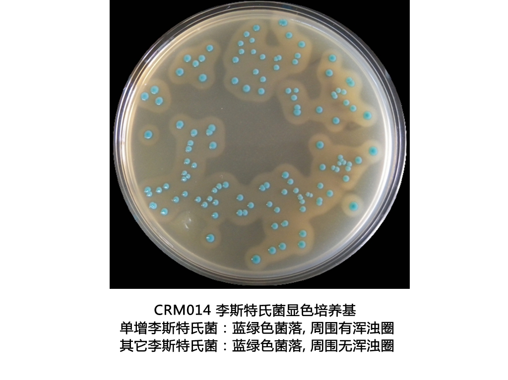 李斯特氏菌顯色培養(yǎng)基平板生物圖冊