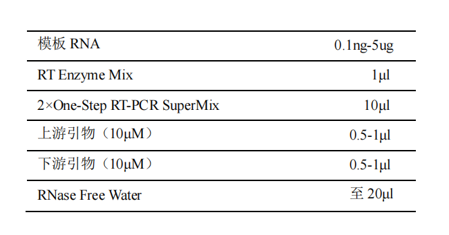 一步法 RT-PCR 試劑盒配置反應體系