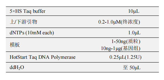 HotStart Taq DNA Polymerase(B)(with dNTP) 常用反應體系（50μL）