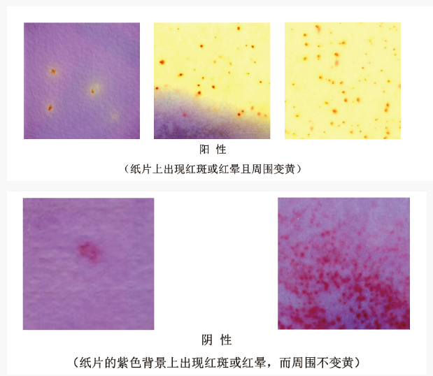 濕式餐具大腸菌群檢驗(yàn)紙片檢測(cè)判斷