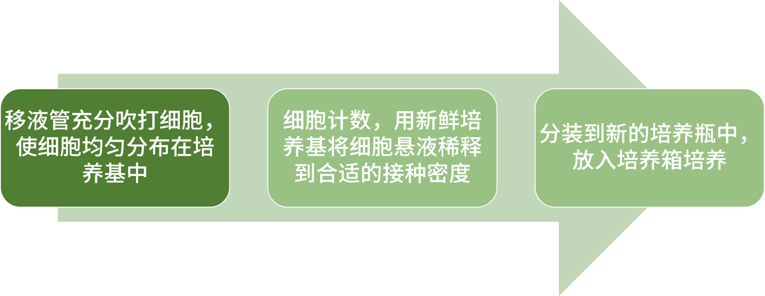 懸浮細(xì)胞傳代步驟