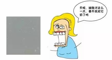 細(xì)胞復(fù)蘇無(wú)起色