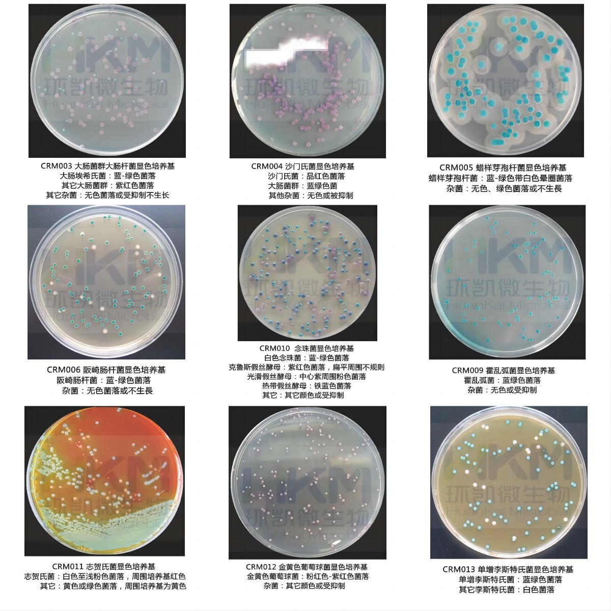 環(huán)凱顯色培養(yǎng)基系列產(chǎn)品詳細介紹