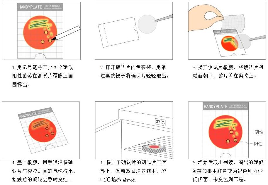 Handy plate®沙門(mén)氏菌確認(rèn)反應(yīng)片操作步驟