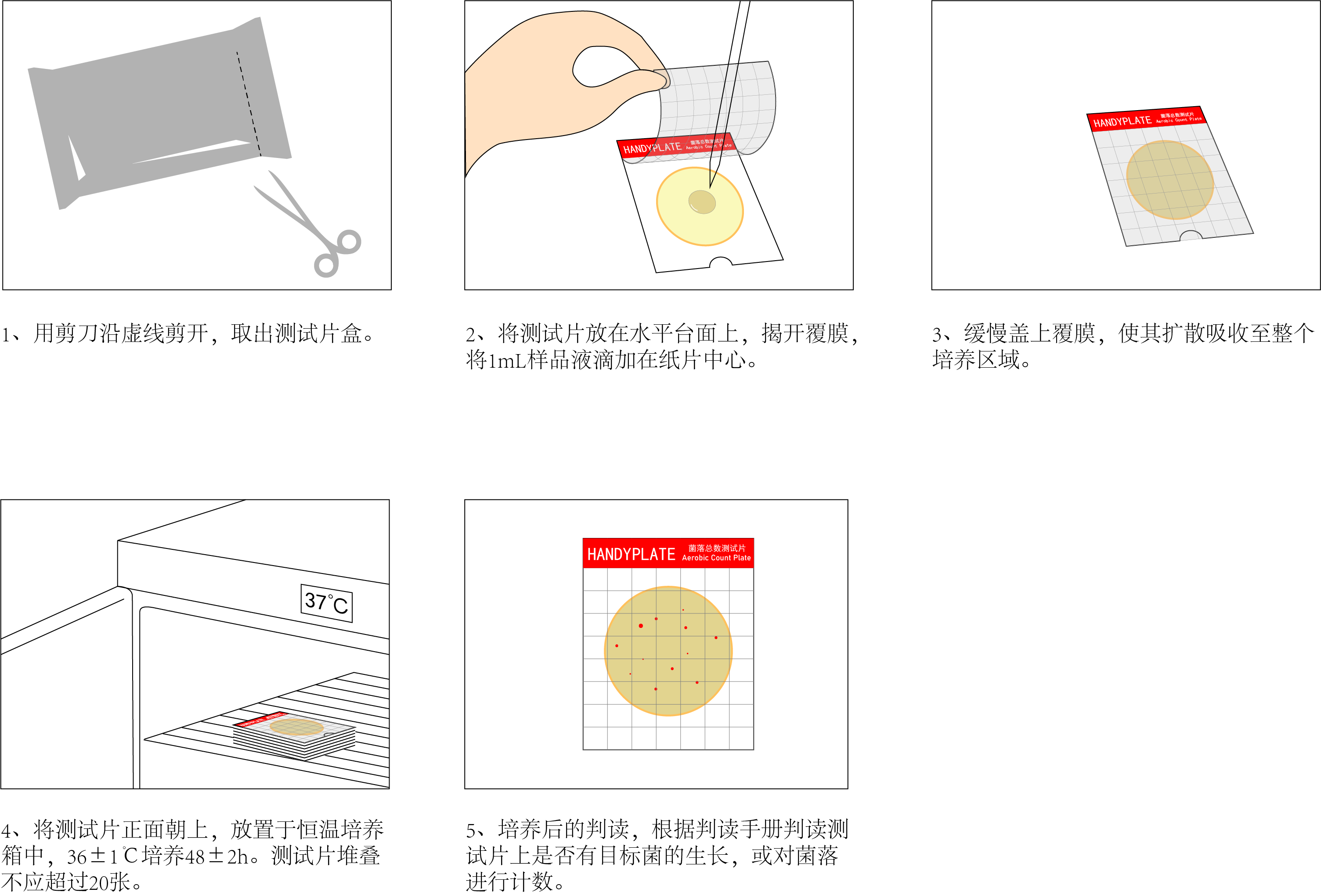 菌落總數(shù)測(cè)試片使用操作步驟
