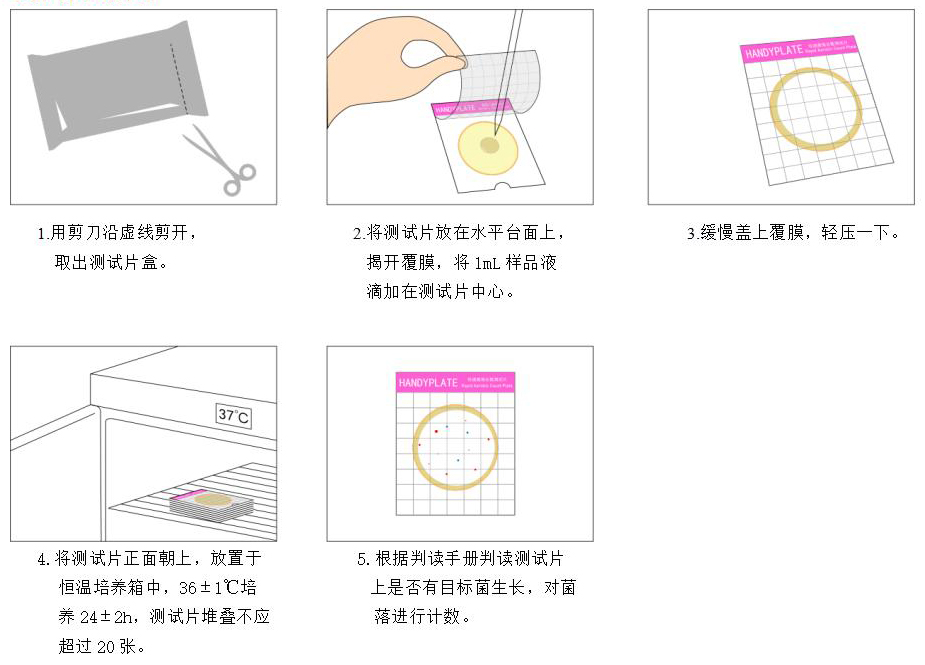 Handy plate®快速菌落總數(shù)測試片 操作圖解