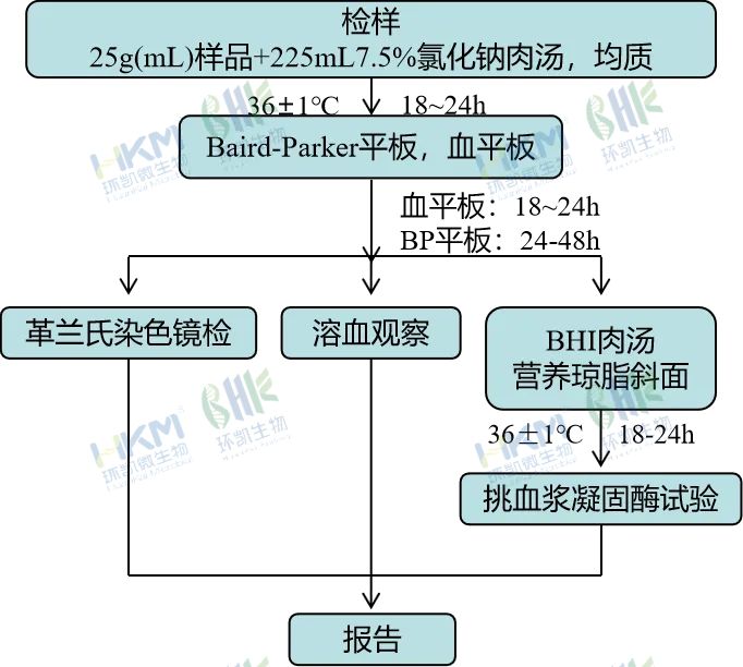 金黃色葡萄球菌定性檢驗(yàn)