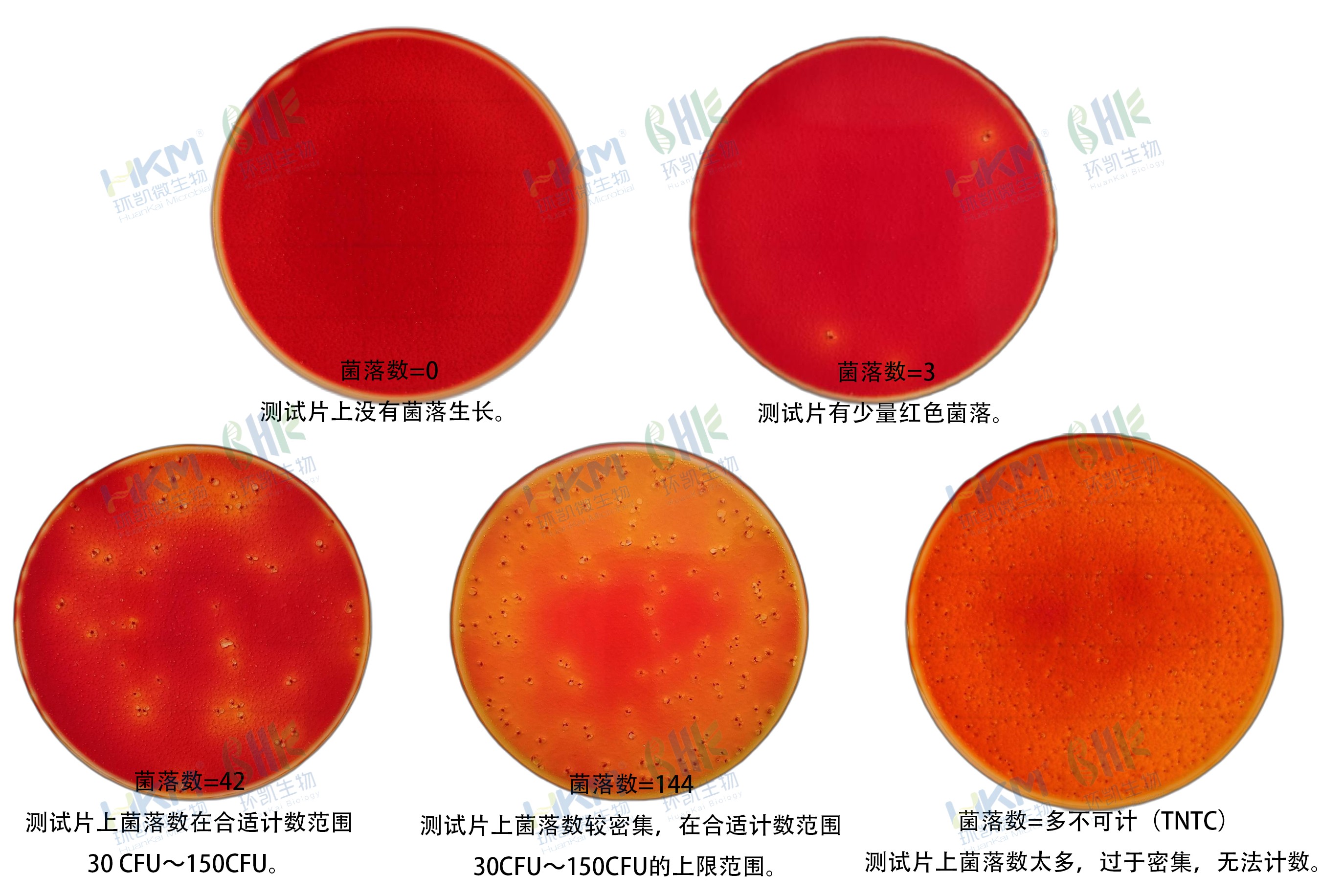 HandyPlate®大腸菌群測(cè)試片判讀手冊(cè)